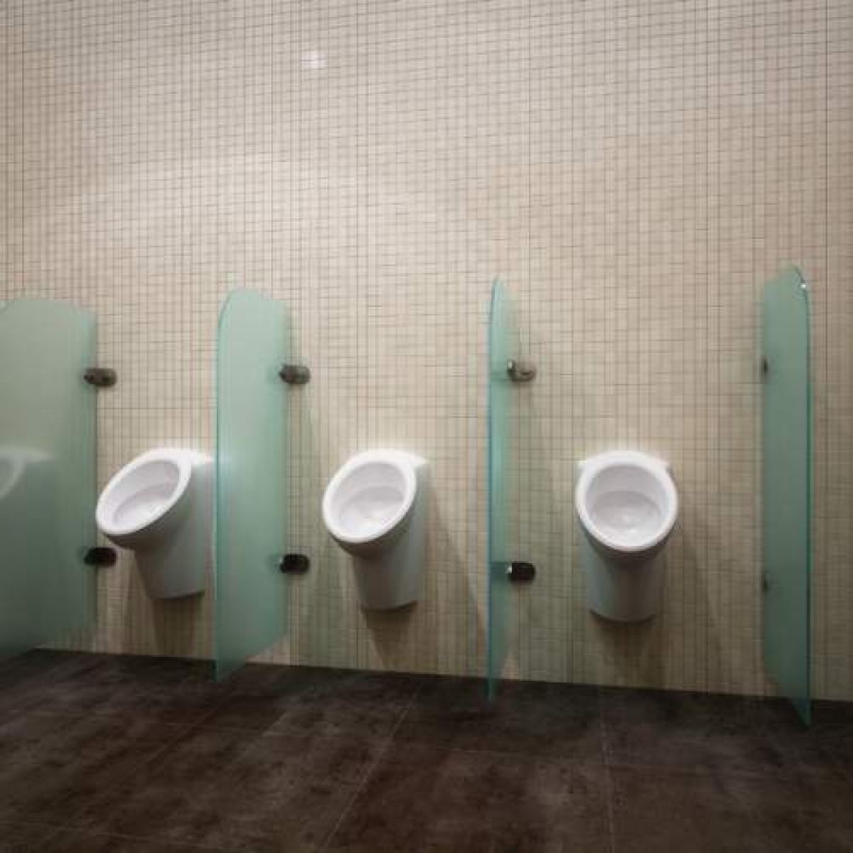 Сантехнічні перегородки та душові зі скла «Loja»