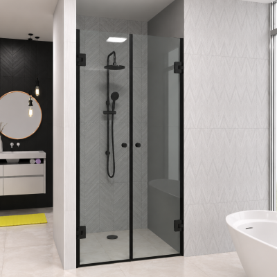 Двері у душову Modena Loft