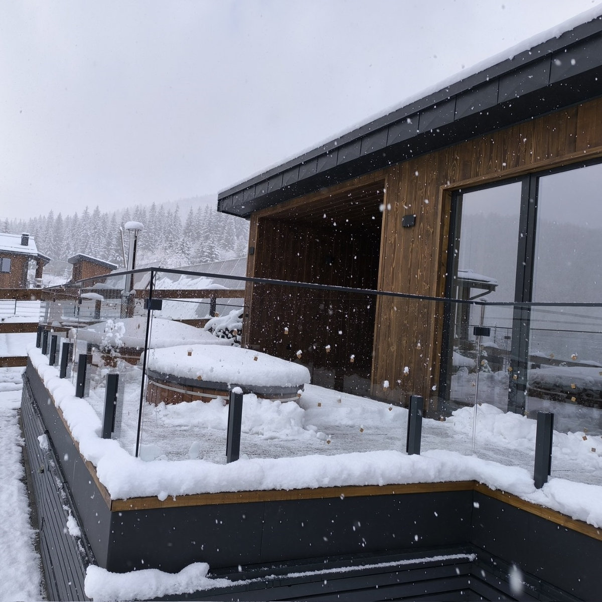 Loft Barrena — прозоре огородження балконного парапету на стійках із поручнем на склі