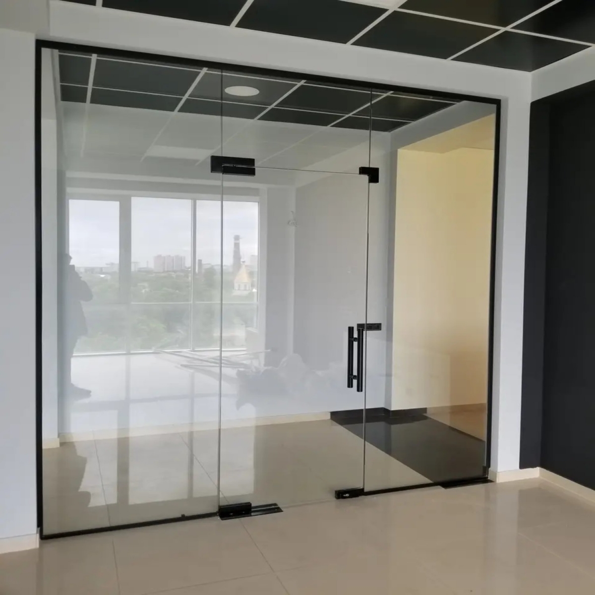 Стеклянные перегородки с дверями в чёрном цвете Mur