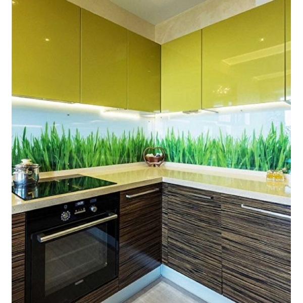 Скіналлі ультрафіолетовий друк освітлене скло