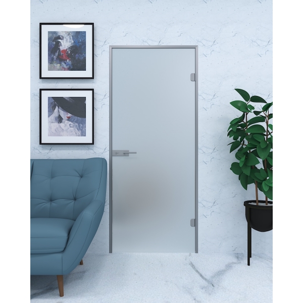 Скляні двері Toronto матова